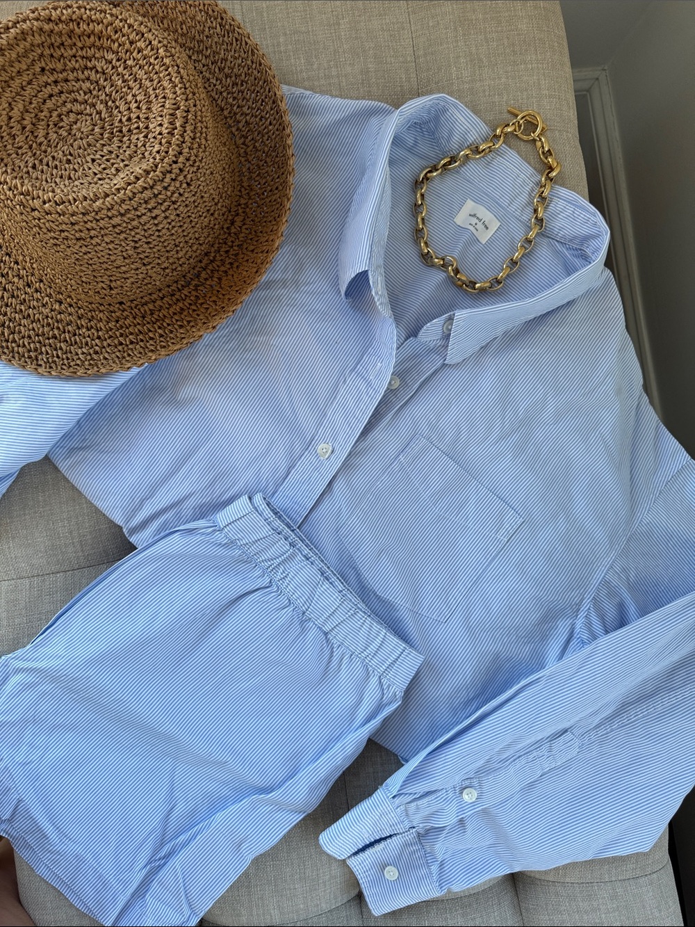 Aritzia Light Blue Pinstripe Relaxed Button-Up Shirt and Shorts Set